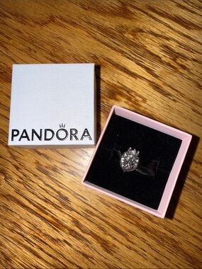 Pandora Regal Lion Charm Sterling Silver Retired NWT